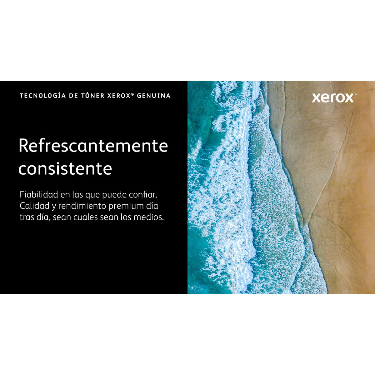 Toner Xerox 006R04626 Schwarz Magenta (1 Stück)