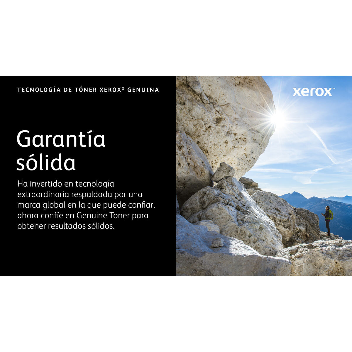 Toner Xerox 006R04626 Schwarz Magenta (1 Stück)