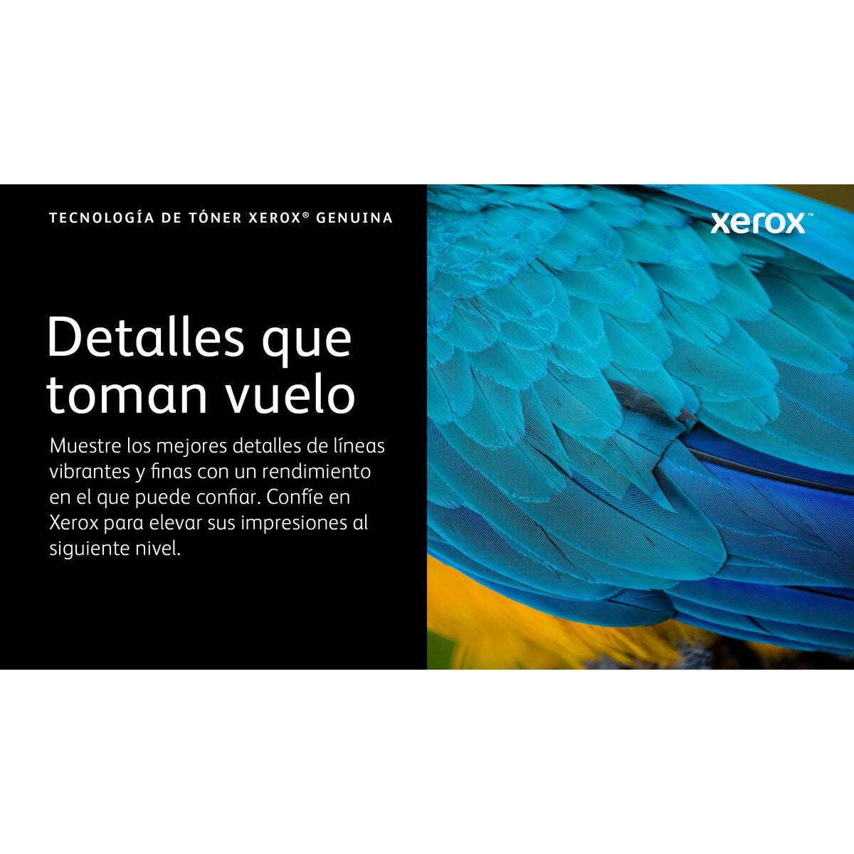 Toner Xerox 006R04627 Gelb Schwarz (1 Stück)