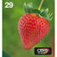 Original Tintenpatrone Epson Multipack 4-colours 29 EasyMail